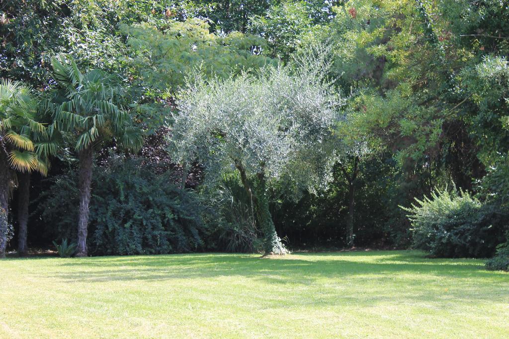 Villa Abbamer Grottaferrata Extérieur photo
